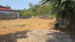 bán đất kèm nhà ở cấp 4 tại thông đông nam, xã nam phương tiến