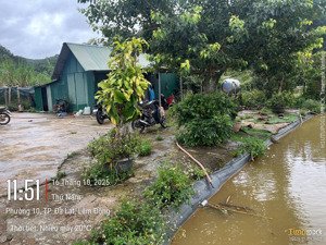 bán đất nông nghiệp mimosa, p10, đà lạt, sổ riêng 2025