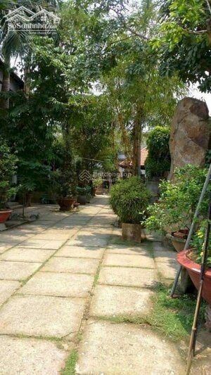 NHÀ SÂN VƯỜN RỘNG 1120m2 MẶT TIỀN ĐƯỜNG BÌNH HOÀ - CÂY DƯƠNG