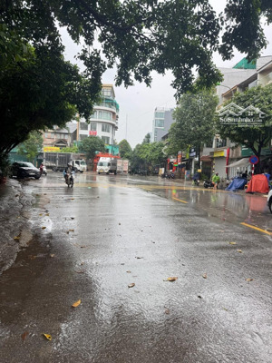 siêu phẩm oto - kinh doanh - lô góc xây ccmn dòng tiền hết nước chấm - sản phẩm hiếm giá đầu tư.