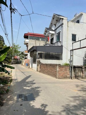 trục chính lô góc siêu đẹp quất động giáp khu đấu giá 114m2, đầu tư tiềm năng