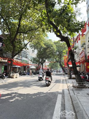 nhà liễu giai lô góc ô tô tránh/đỗ/vào nhà. 9 tầng - 315m2