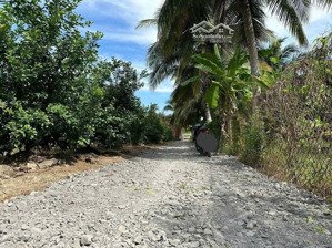 bán đất ấp thạnh hòa, long hưng, châu thành, tiền giang. 6,08m x 28m = 170m, đường ôtô 2,7m, 450 tr