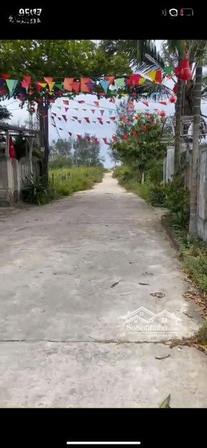 cơ hội đầu tư - bán lô đất đẹp cách biển bình minh chỉ vài trăm mét.