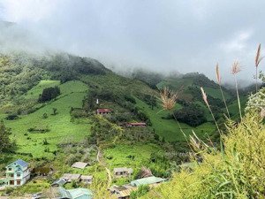 cn lô đất nghỉ dưỡng sapa 1000m2