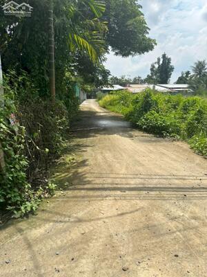 Bán đất 265m2 đường xe hơi xã Bình Mỹ, Huyện Củ Chi