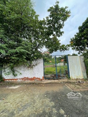 30tr/m2 cực hiếm - đất đẹp hẻm xe hơi - cách 50m ra đường lê văn lương - nhà bè