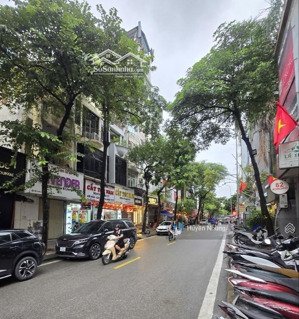 ba đình, mặt phố linh lang, dt86m* 5 tầng, mt rộng 7m, phù hợp nhiều mục đích kinh doanh.