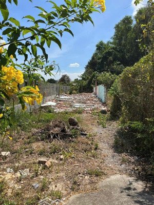 chính chủ bán nhanh lô đất xã phạm văn cội, 260m2, shr, 1 tỷ 495