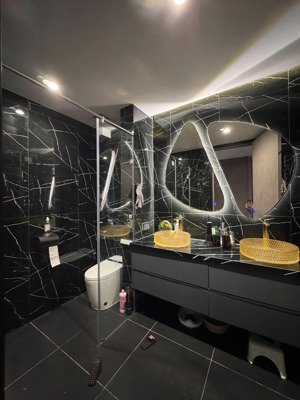 bán gấp căn hộ dolphin plaza, 11,7 tỷ, 152m2, 2pn, 2wc ở mỹ đình, nam từ liêm, hà nội