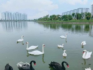 bảng giá biệt thự liền kề thanh hà, thông tin những lô giá rẻ vị trí đẹp dự án kđt thanh hà