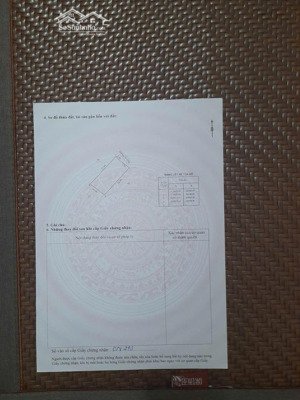 trên đất trồng bưởi.đất bằng phẳng.đã có ranh giới rõ ràng tổng dt 210m phun tc