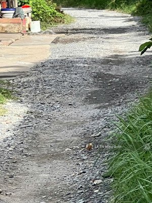 bán lô đất đường hẻm xe hơi, diện tích 369m2 giá 14tr/m2 thổ vườn quận 9 p long phước