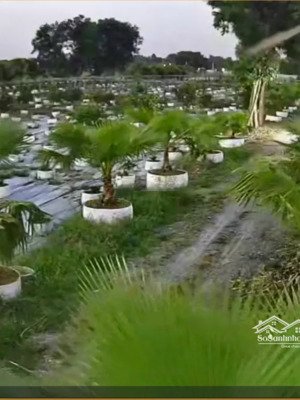 bán nhà riêng tại nguyễn thị náo, củ chi, 70 m2