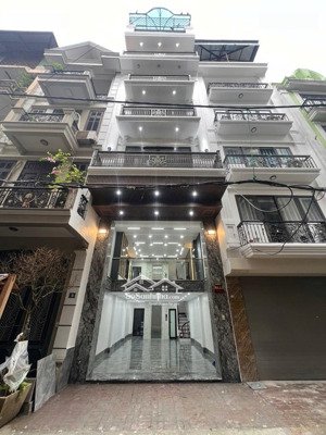 phân lô vỉa hè - ô tô đỗ tránh - mặt tiền rộng - 2 mặt ngõ - thang máy vù vù