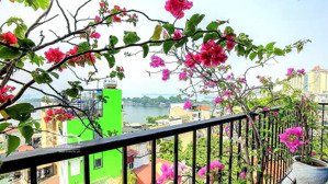 chủ nhà gửi bán nhà mp trúc bạch trẫn vũ ba đình dt 230m. mt 8. 10 tầng. giá 1xx tỷ