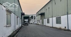 Bán Kho, Nhà Xưởng Tại Quốc Lộ 51, Tân Hải, Phú Mỹ, Bà Rịa Vũng Tàu, 250 Tỷ, 5000m2