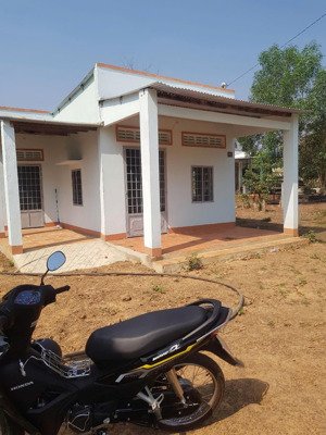 4ha cao su cạo mặt a, đường bê tông nhà cấp bốn đẹp, xã thanh hòa, bù đốp.- đồng nai mới