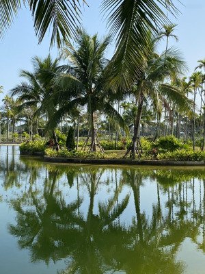 chính chủ cần bán biệt thự hoàn thiện phần thô dãy tt02 kđt casamia calm hoi an đã đi vào vận hành