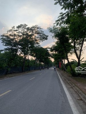 bán đất liên mạc 40m2, sổ đỏ, ô tô vào đất, xây ở, đầu tư, giữ tiền đều đẹp.