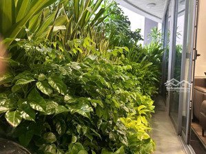 căn hộ dành cho khách hàng thích ở chung cư nhưng sợ độ cao,dt 137m2, 4pn,căn góc, view bể bơi