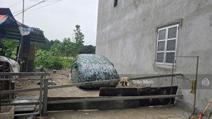 bán đất - xóm gà cổ loa - đông anh - hà nội. dt : 62m2 . giá bán 72tr/m2. có ra lộc
mt : 4.8m.