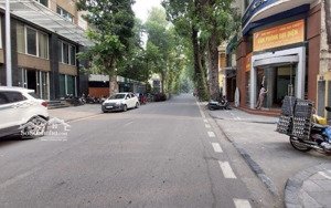 bán nhà mặt phố lý nam đế 41m 10 tầng tháng máy, mt 6.8m giá 57.76 tỷ, kinh doanh, homestay