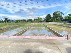  SIÊU HOT – RA MẮT BLOCK KIM TRÀ GIÁ ƯU ĐÃI CHỈ TỪ 520 TRIỆU TRONG TUẦN MỞ BÁN! 