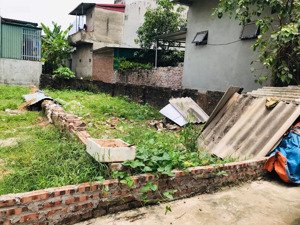 đất đẹp 2tỷ2x mai đình - sóc sơn ô tô vào tận đất..