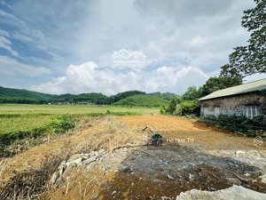 dt 878m2 full thổ cư - bám suối - view cánh đồng, núi non - cách trục đường tiên hội 100m