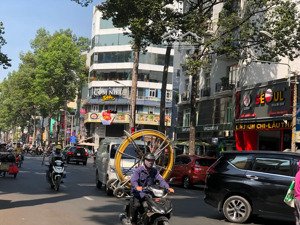 bán nhà riêng tại nguyễn trãi, phường 4, quận 5, tp. hcm, 28 tỷ, 118m2 - hàng hiếm giá siêu hời