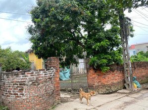 bán gấp lô góc hàng fo tại đông tảo khoái châu. ngõ thông ô tô tránh. dt: 571m2, mt: 17, chỉ 2xtr