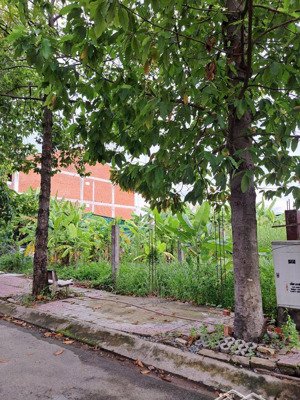 bán thửa đất khu trung tâm thanh thiếu niên miền nam - quận 9, tp.hcm