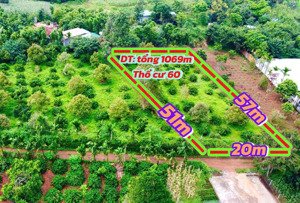 lô đất vườn thổ cư tiềm năng, vị trí đẹp, thanh khoản tốt