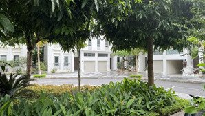 bán biệt thự phố bùi xuân phái, 180m2, 5t, có hầm, full nội thất siêu vip, thang máy nhập khẩu