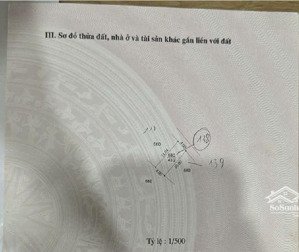 ô tô vào nhà - 10m ô tô tránh dừng đỗ ngày đêm - ngõ thông - sổ hoa hậu