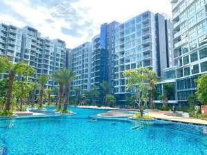 cho thuê căn hộ 2pn diamond centery cao cấp nhất celadon city