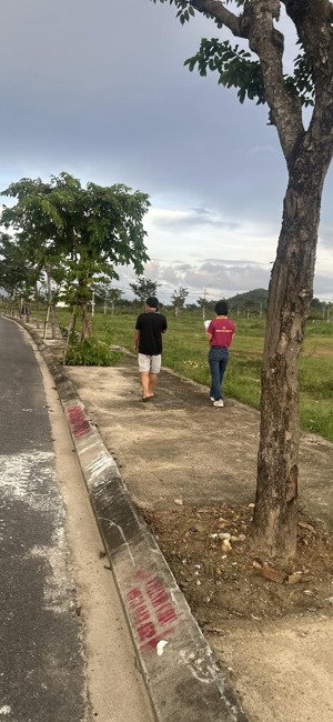 lô góc siêu đẹp trục quảng ngãi, dự án đầm sen hòa xuân