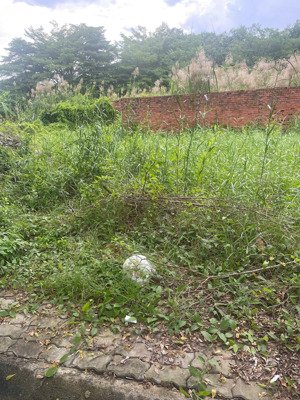 bán đất nhà phố hẻm xe hơi phước kiển nhà bè, dt 6x13.5 tổng 81m2 giá bán 5,5 tỷ thương lượng