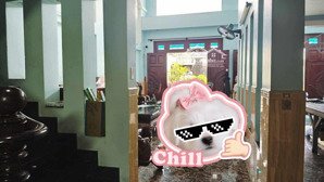 sang trọng biệt thự mini tọa lạc phường tân sơn nhì - đường tân kỳ tân quý