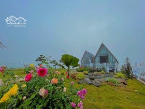 chính chủ cần bán gấp cặp đất đường thông khu đầm sen nam hòa xuân, giá rẻ