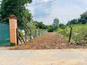 đất mặt tiền đường nhựa 488 - phú hòa đông: 278m2 - có 101m2 thổ cư