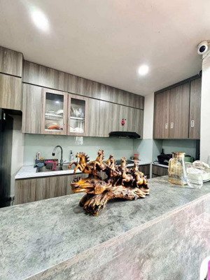 bán căn hộ chung cư rice city: siêu hiếm, trung tâm, vị trí đẹp, đầy đủ tiện ích, 70m, chỉ 4tỷ6