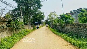 chính chủ gửi bán lô đất đẹp tại cao phong - hoà bình diện tích: gần 6.000m