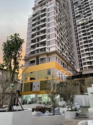 giỏ hàng chuyển nhượng d-homme giá siêu tốt chỉ từ 3,9 tỷ