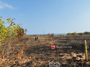 bán 1000m mặt tiền nhựa đường võ nguyên giáp ngay cổng chính sân bay phan thiết giáp sungroup