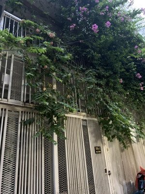 cho thuê nhà nguyên căn k59/1 ba đình, hải châu, đà nẵng