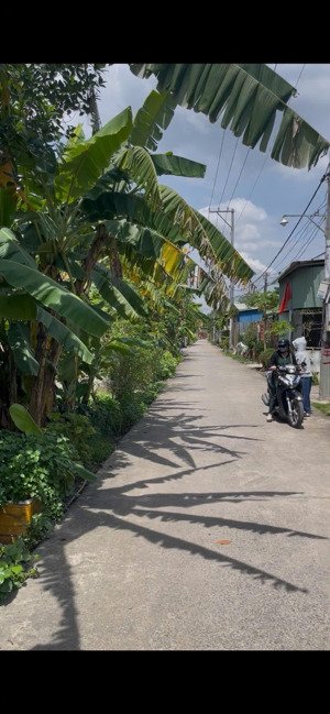 bán đất chính chủ 1600m2 tại đinh quang ân, phước tân, biên hòa, 18 tỷ vnd