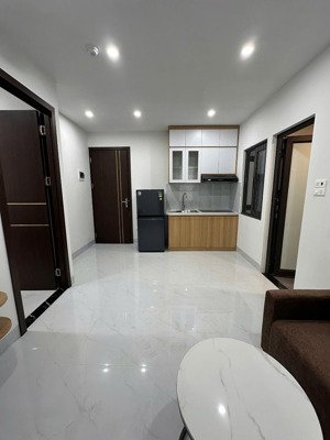 cho thuê chung cư mini đẹp xuất sắc tại lạc long quân, 6,5 triệu, 35 m2