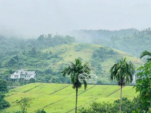 a160. siêu phẩm view hồ cố đụng villa nghỉ dưỡng giữa lòng hòa lạc